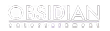 Obsidian Entertainment